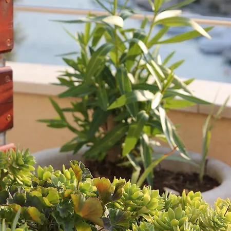 Time Off Apartamento *