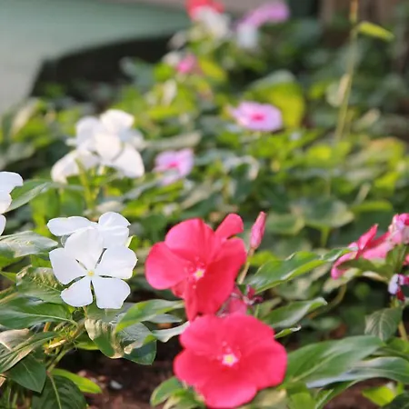 Time Off Appartamento *