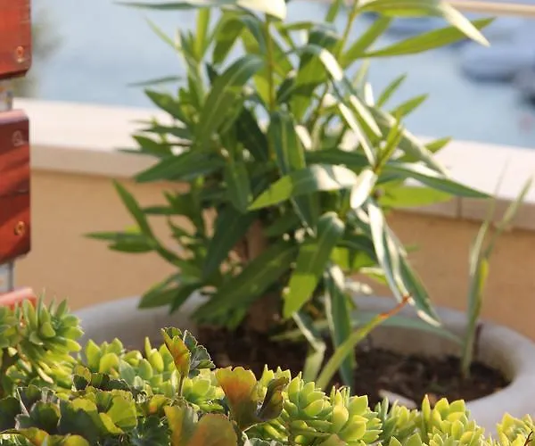 Time Off Διαμέρισμα *